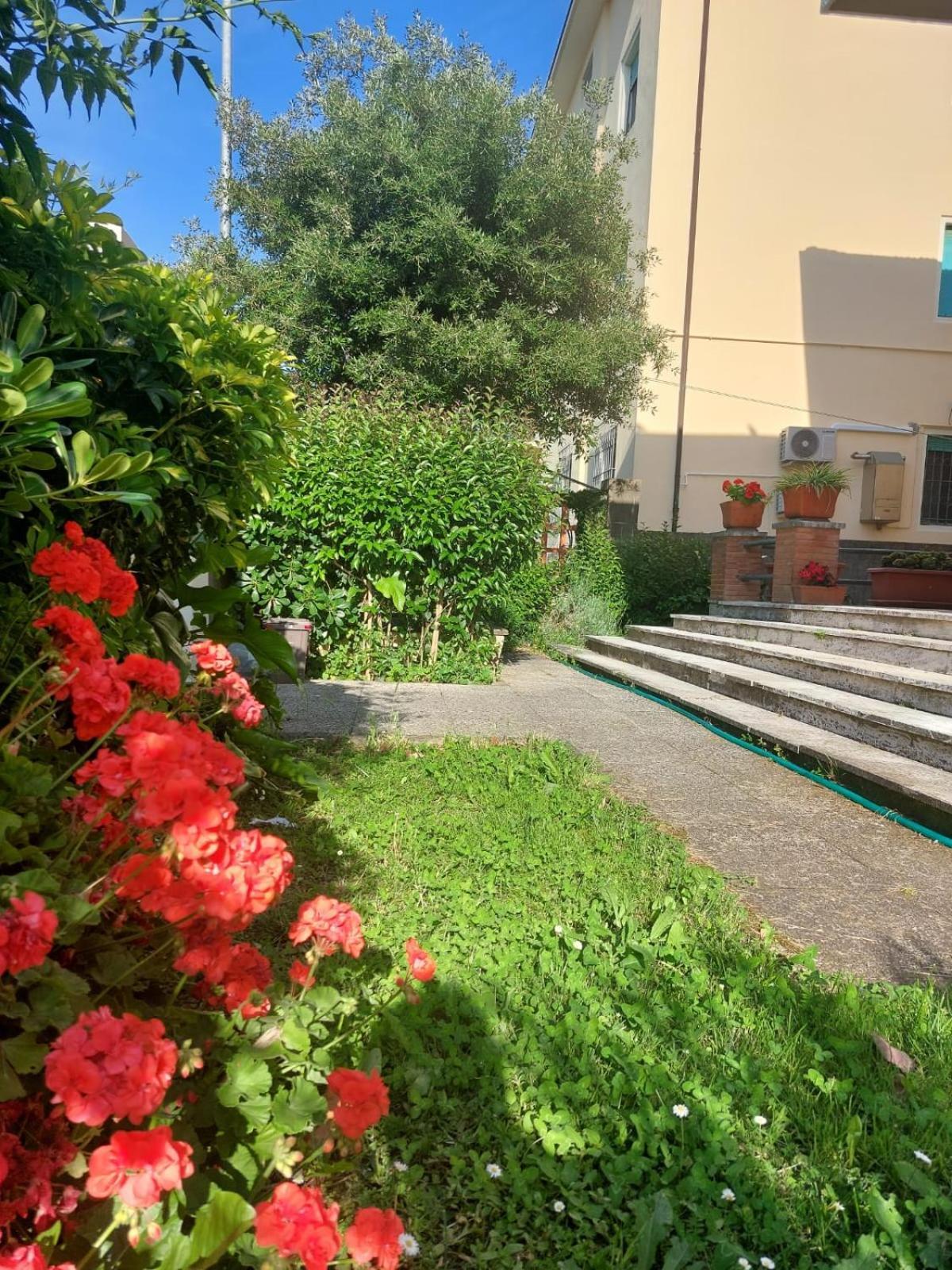 Villa Mehari Пиза Экстерьер фото