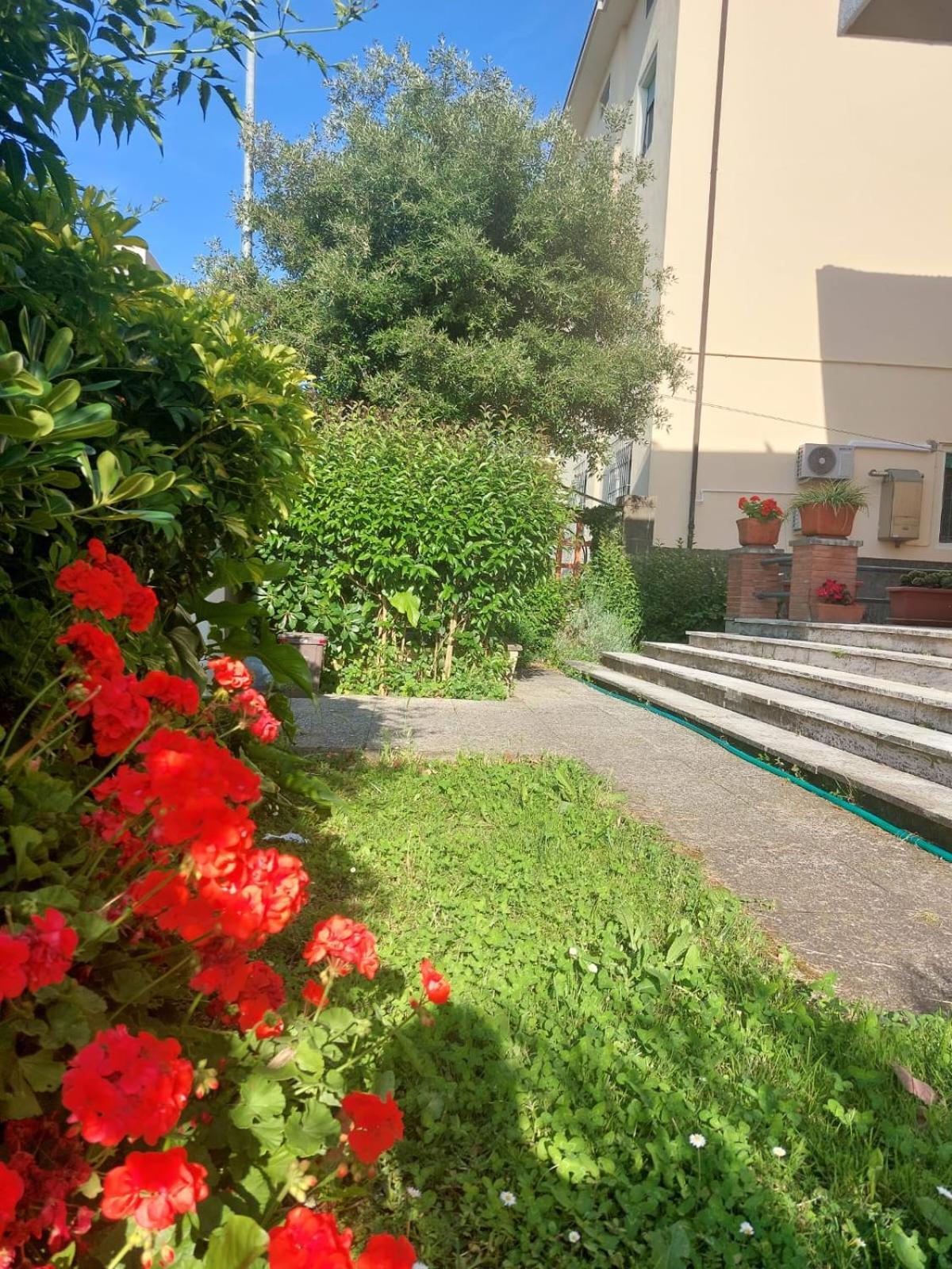 Villa Mehari Пиза Экстерьер фото